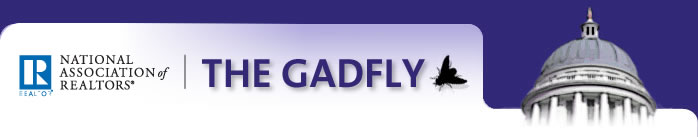 The Gadfly